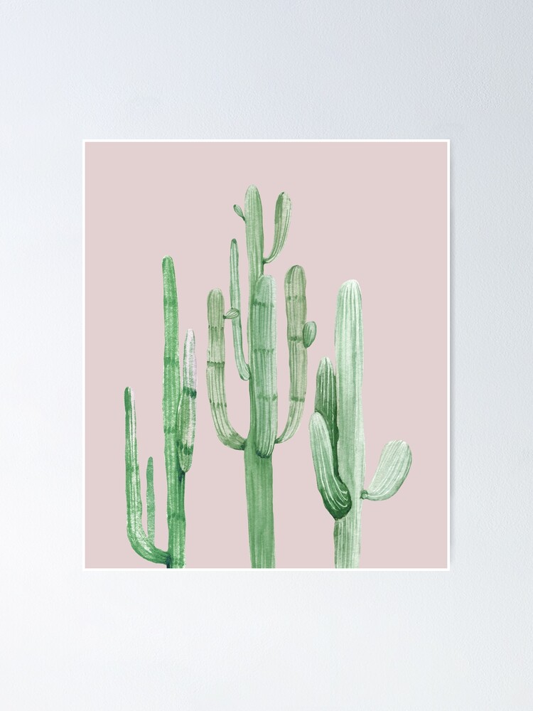 "Pretty Cactus Pink and Green Desert Cacti Wall Art" Poster for Sale by DesertDecor Redbubble