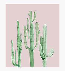 Pretty Cactus Pink and Green Desert Cacti Wall Art Photographic Print