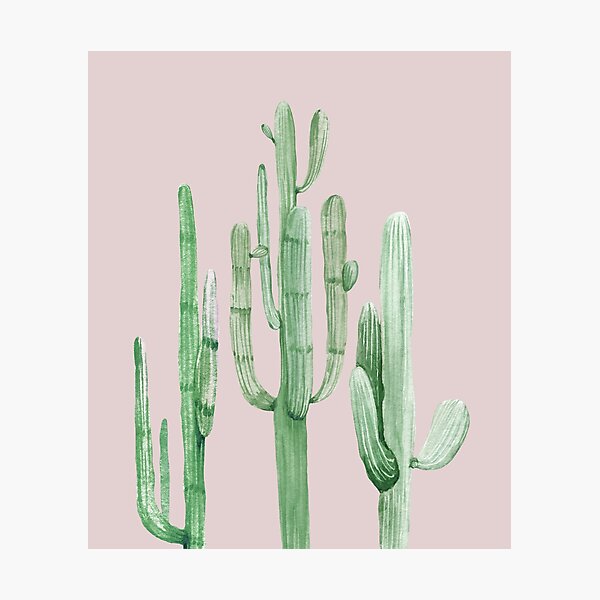 Pretty Cactus Pink and Green Desert Cacti Wall Art Photographic Print