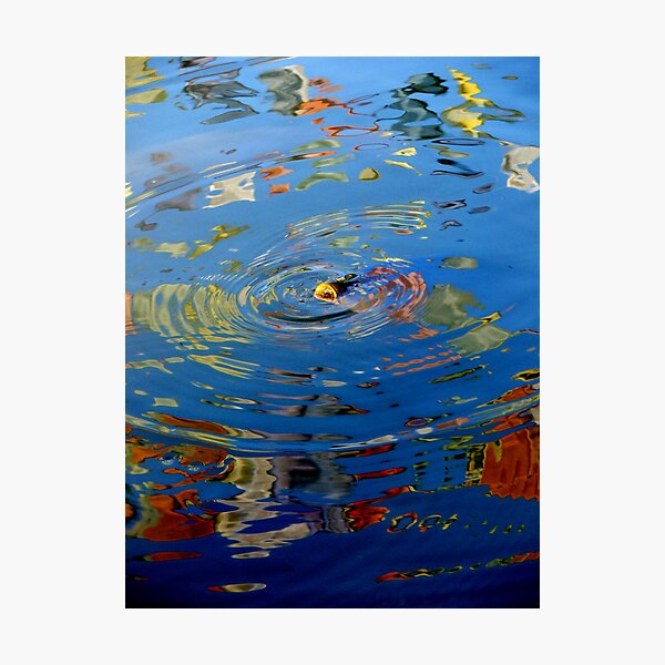 Fish amidst the flags (Limited Edition Print of 50) Photographic Print