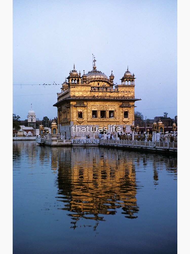 Golden Temple, Amritsar, India | Golden temple, Golden temple amritsar,  Amritsar