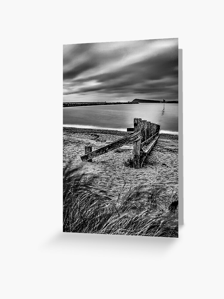 Greeting Card, Beach posts in black and white designed and sold by Peter Barrett