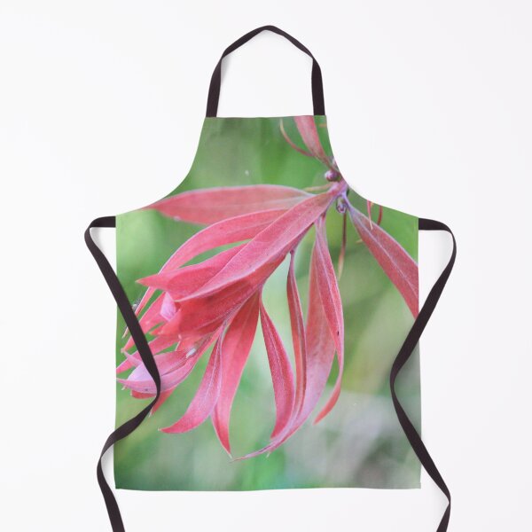 Item preview, Beaut Bracts designed and sold by KazM.