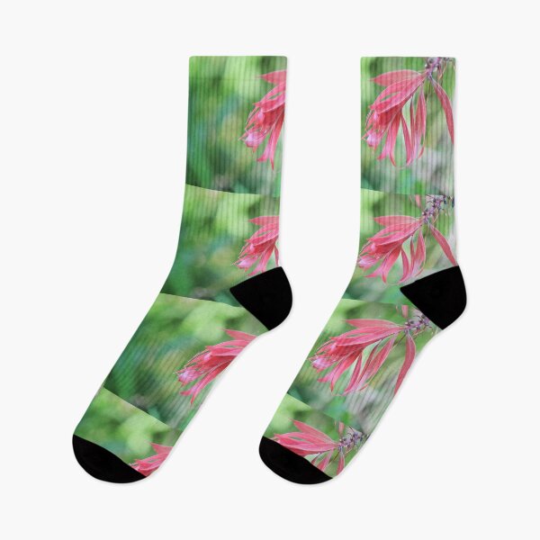Item preview, Beaut Bracts designed and sold by KazM.