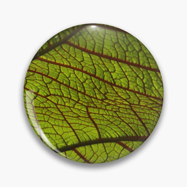 Item preview, Green leaf designed and sold by Zip-Zup.