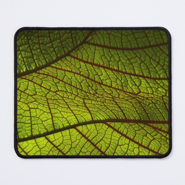 Item preview, Green leaf designed and sold by Zip-Zup.