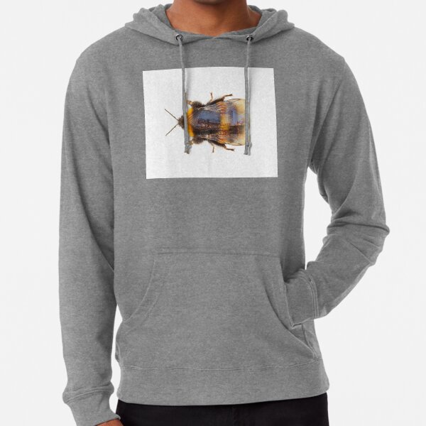 BEEGREATER ATHLETIC PULLOVER HOODIE