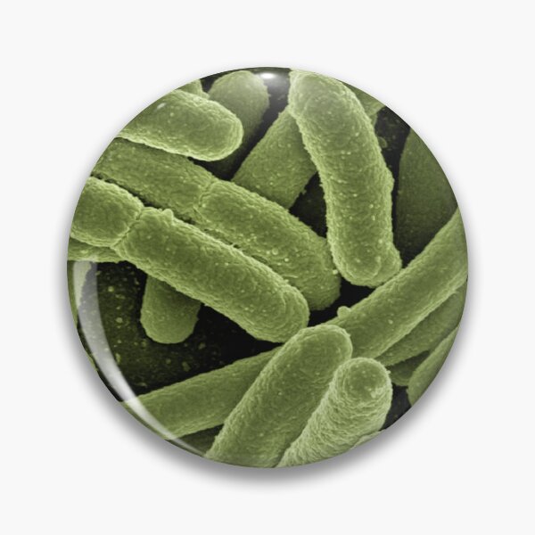 Item preview, Bacteria designed and sold by Zip-Zup.