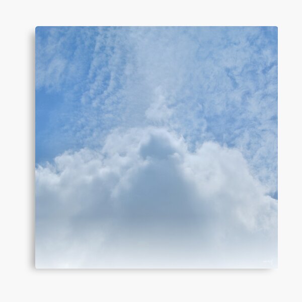 Arrival Metal Print