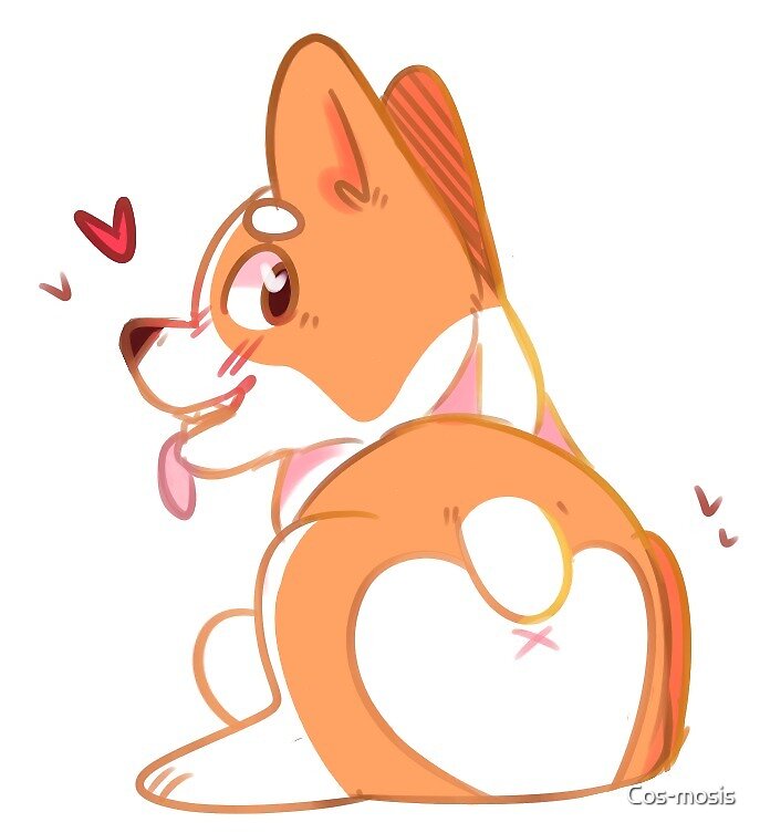 corgi oc