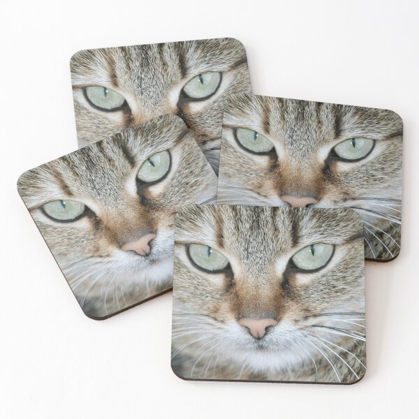 Item preview, Portrait of cute fluffy cat designed and sold by olena2552.