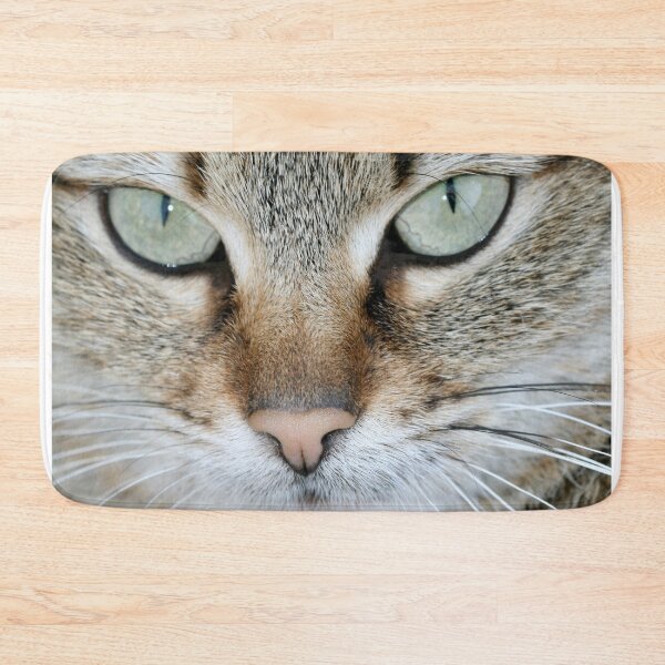 Item preview, Portrait of cute fluffy cat designed and sold by olena2552.