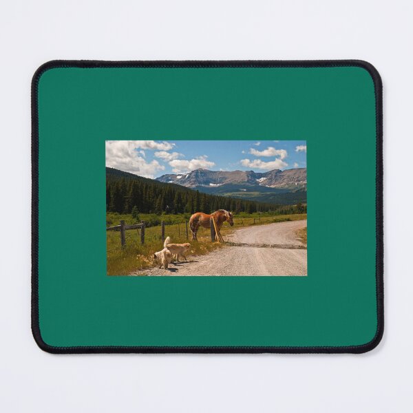 Item preview, Just another Dog and Pony Show   designed and sold by AubroElus8.