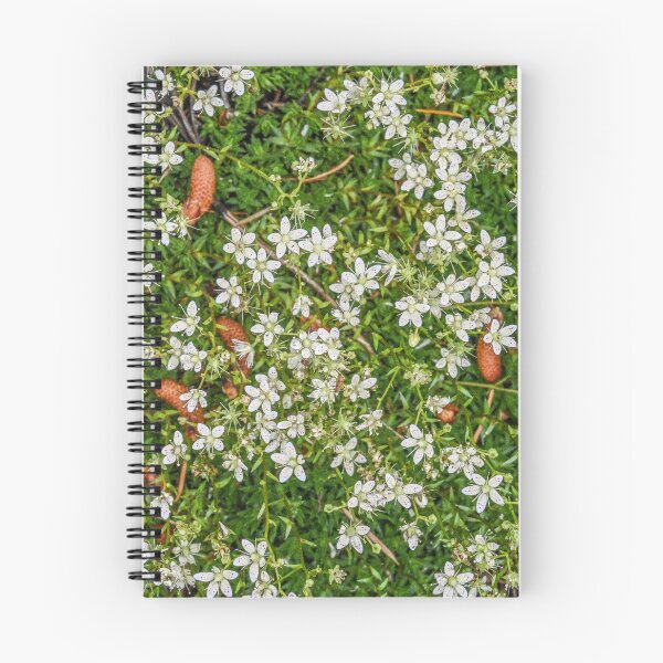 Item preview, Fleurs designed and sold by TBirdPhotos.