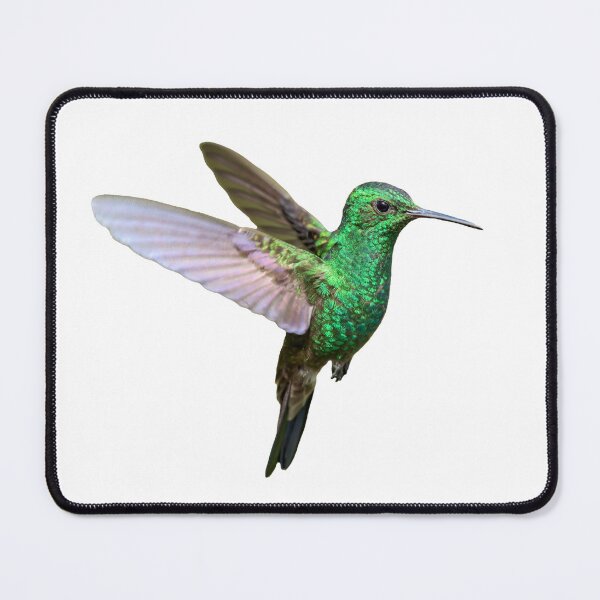 Item preview, Sparkling copper rump hummingbird designed and sold by Rachel Lee Young - Land of the Hummingbird.