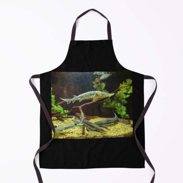 Item preview, Sturgeons swimming  designed and sold by Ivy-Bindig.
