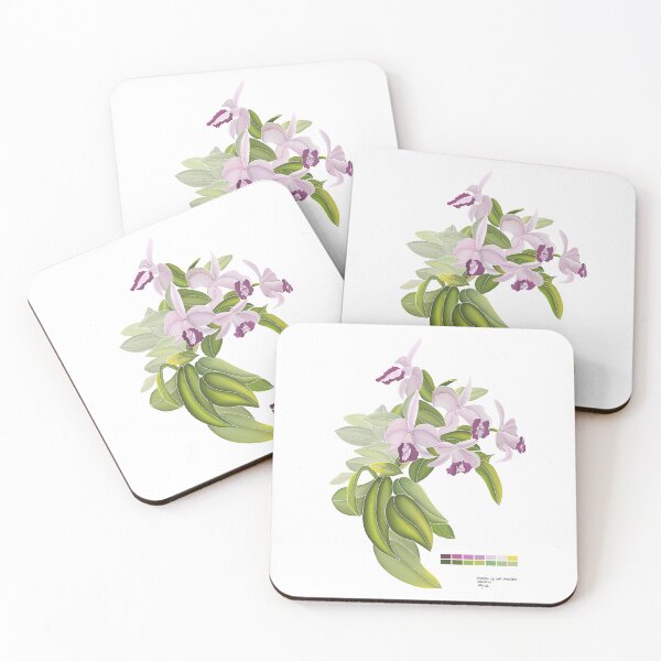 Item preview, Study of an Orchid designed and sold by Erratico.