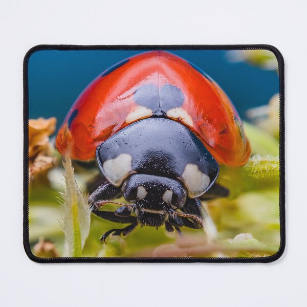 Item preview, Beautiful Red Lady Bug - Coccinellidae designed and sold by AronsTinySafari.