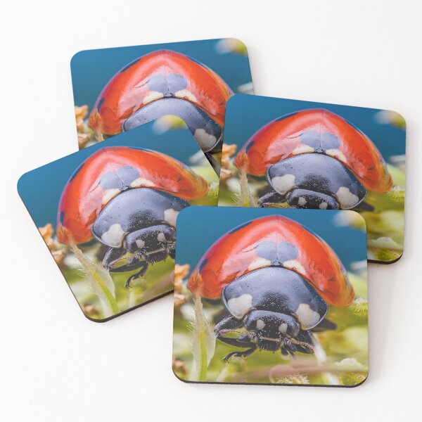 Item preview, Hermosa mariquita roja - Coccinellidae designed and sold by AronsTinySafari.