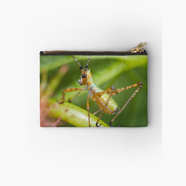 Item preview, Fork-Tailed Bush Katydid Nymph - Scudderia furcata designed and sold by AronsTinySafari.