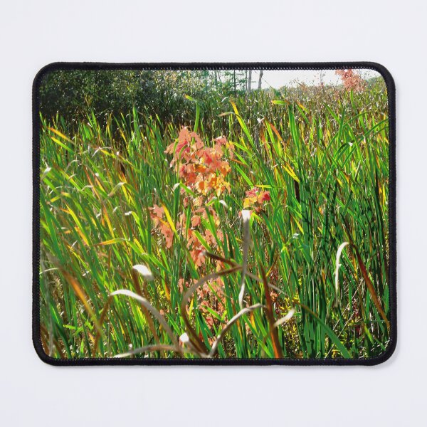 Item preview, Swamp grass designed and sold by Shulie1.