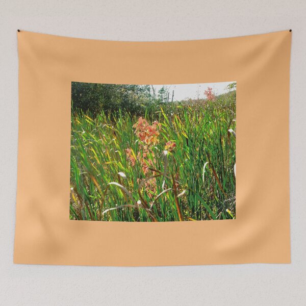 Item preview, Swamp grass  designed and sold by Shulie1.