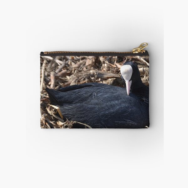 Item preview, Coot Nesting Among The Swans At Abbotsbury designed and sold by lynn carter.