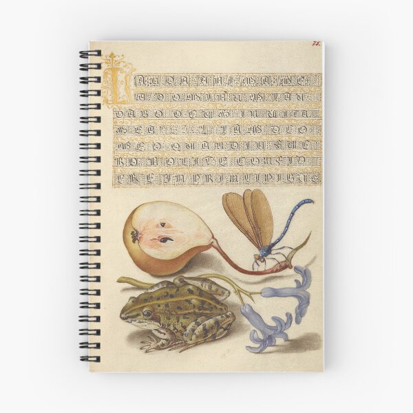 Item preview, Frog, Flower, Dragonfly and Pear (1561-1596) - Medieval Illuminated Manuscript designed and sold by SALON DES ARTS.