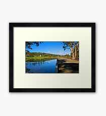 Wetlands Framed Print