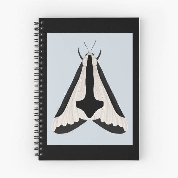 Item preview, Haploa clymene moth  designed and sold by Indi's Art.