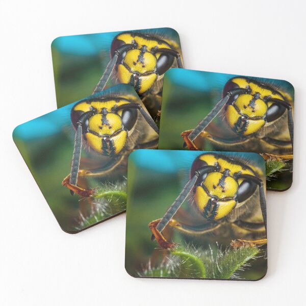 Item preview, Yellowjacket Wasp Queen - Vespula designed and sold by AronsTinySafari.