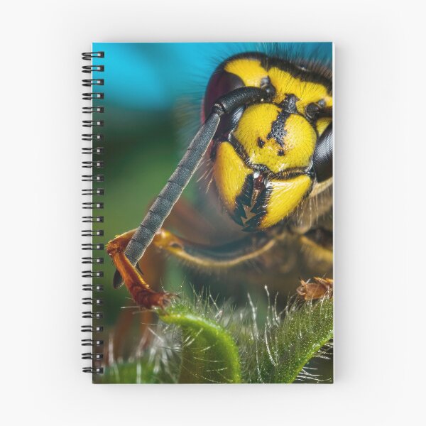 Item preview, Yellowjacket Wasp Queen - Vespula designed and sold by AronsTinySafari.