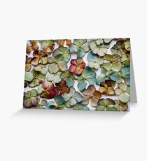 Hydrangea Petals no. 2 Greeting Card