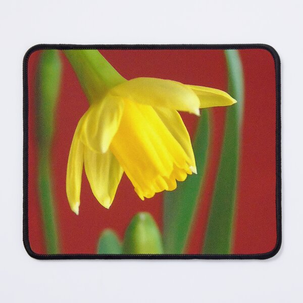 Item preview, Daffodil designed and sold by ART22.