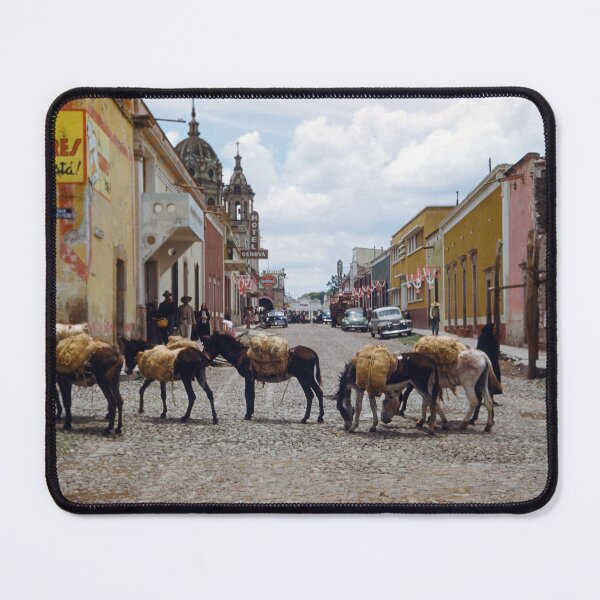 Item preview, 1950s - Donkeys in a Street in Mexico designed and sold by thatwaslife.
