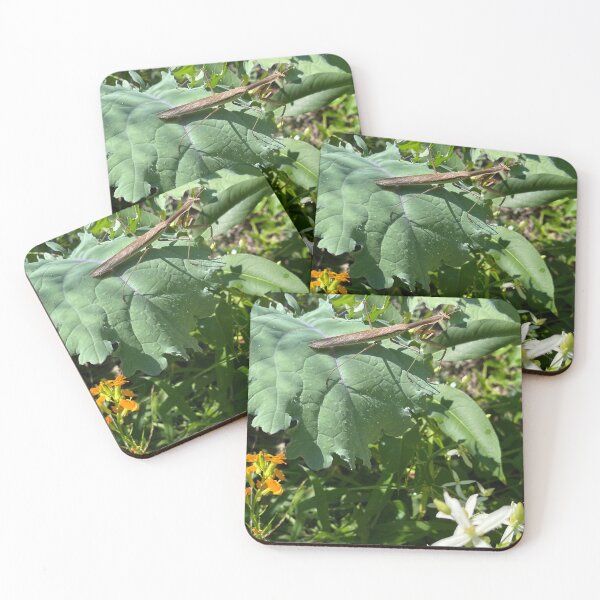 Item preview, Lettuce Pray… designed and sold by TherapeuticNest.