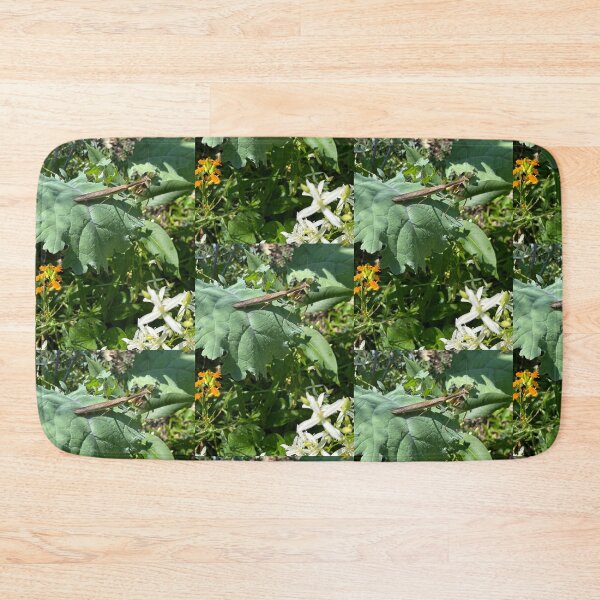Item preview, Lettuce Pray… designed and sold by TherapeuticNest.