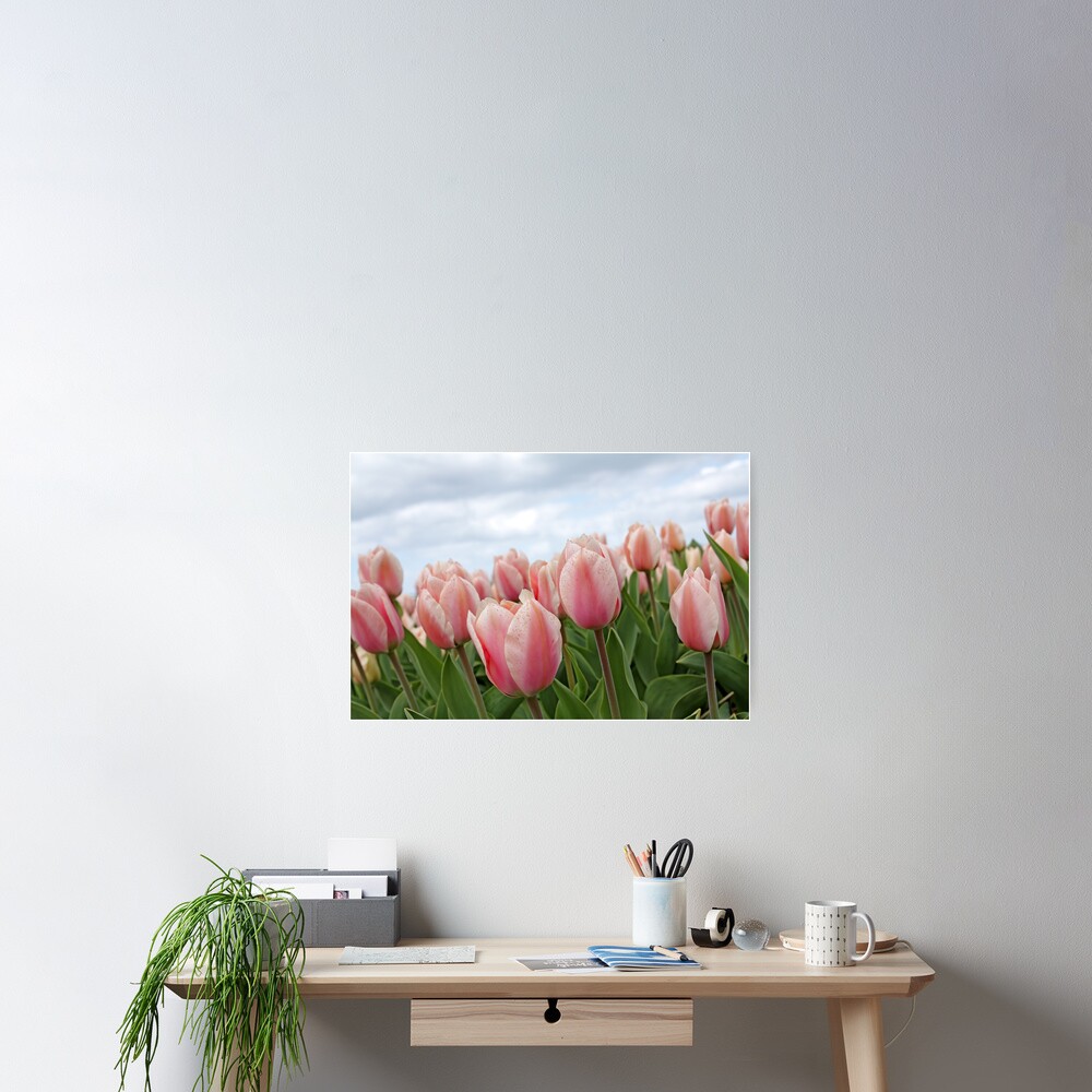 Item preview, Poster designed and sold by MMFoto.