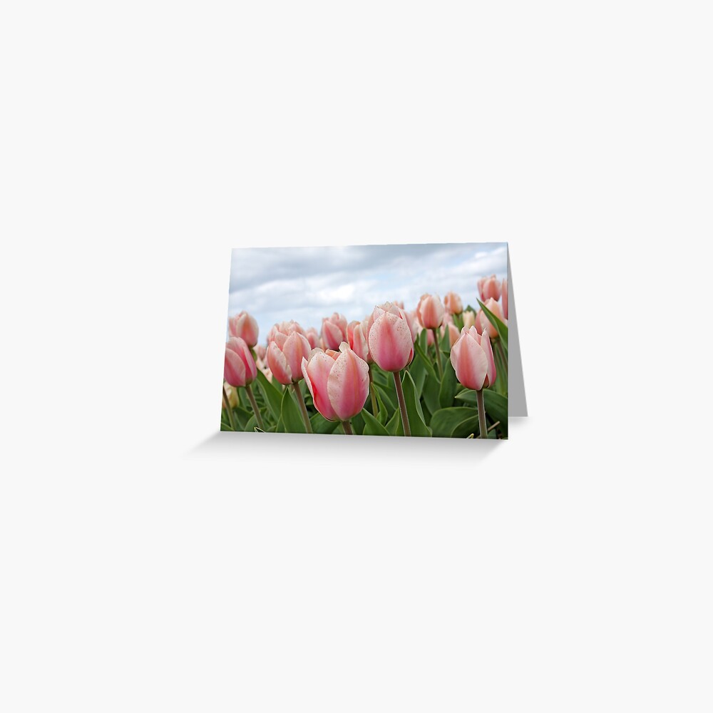 Item preview, Greeting Card designed and sold by MMFoto.