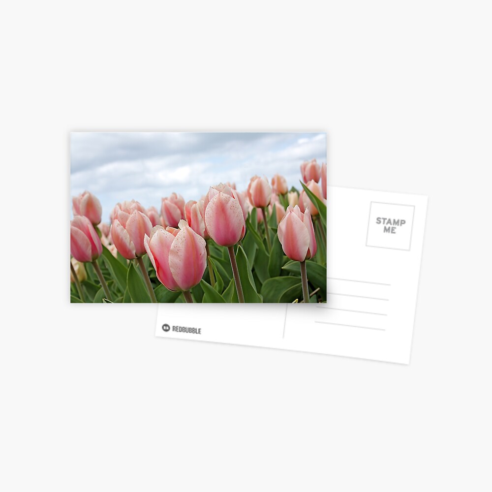 Item preview, Postcard designed and sold by MMFoto.