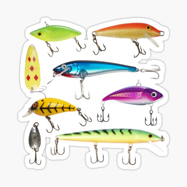 Fish Lures for Bass  Fishing Lures Bass Lures, Swimming Lure Animated  Lure, Fishing Lures for Freshwater Saltwater, Fishing Bait Fishing Gear For  Men Gifts (Color : 5 Baits+Box) : : Sports