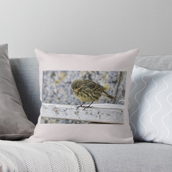 Item preview, Rock Pipit 2 designed and sold by lynn carter.