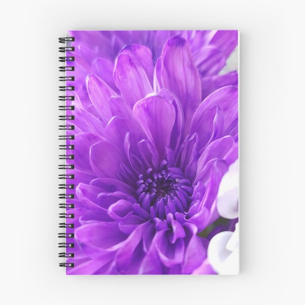 Item preview, Beautiful Purple Chrysanthemum  designed and sold by BlossomPix.