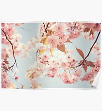 Cherry dream Poster