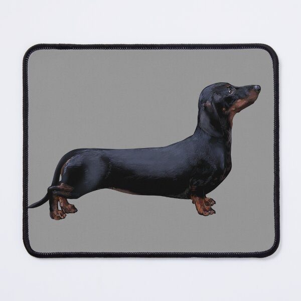Item preview, dachshund designed and sold by sibosssr.