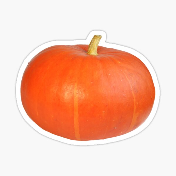 Orange Pumpkin Sticker