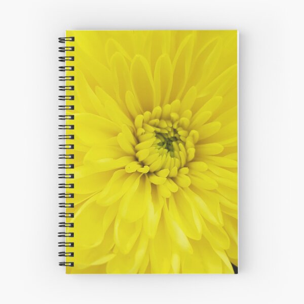Item preview, Sunshine Yellow Chrysanthemum  designed and sold by BlossomPix.