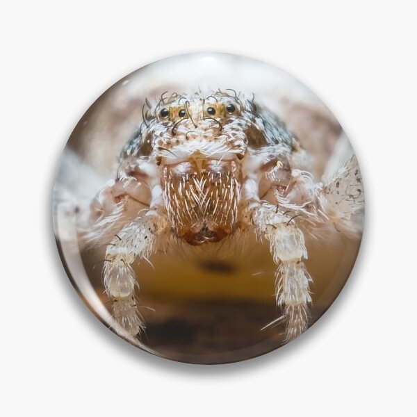 Item preview, White Crab Spider - Thomisidae designed and sold by AronsTinySafari.