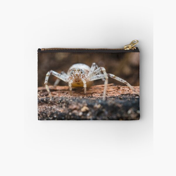Item preview, White Crab Spider - Thomisidae designed and sold by AronsTinySafari.