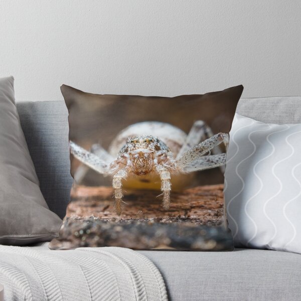 Item preview, White Crab Spider - Thomisidae designed and sold by AronsTinySafari.